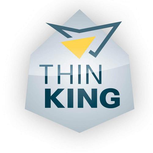 2021 ThinKing Leichtbau Logo